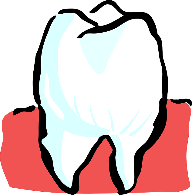 tooth-25594_640