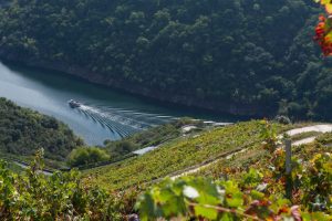 Galicia, una de las tierras más interesantes en lo que a vinos se refiere